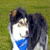 Paws for Fun 2012