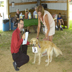 dog show jpg