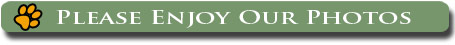 photos banner jpg