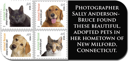 stamps jpg